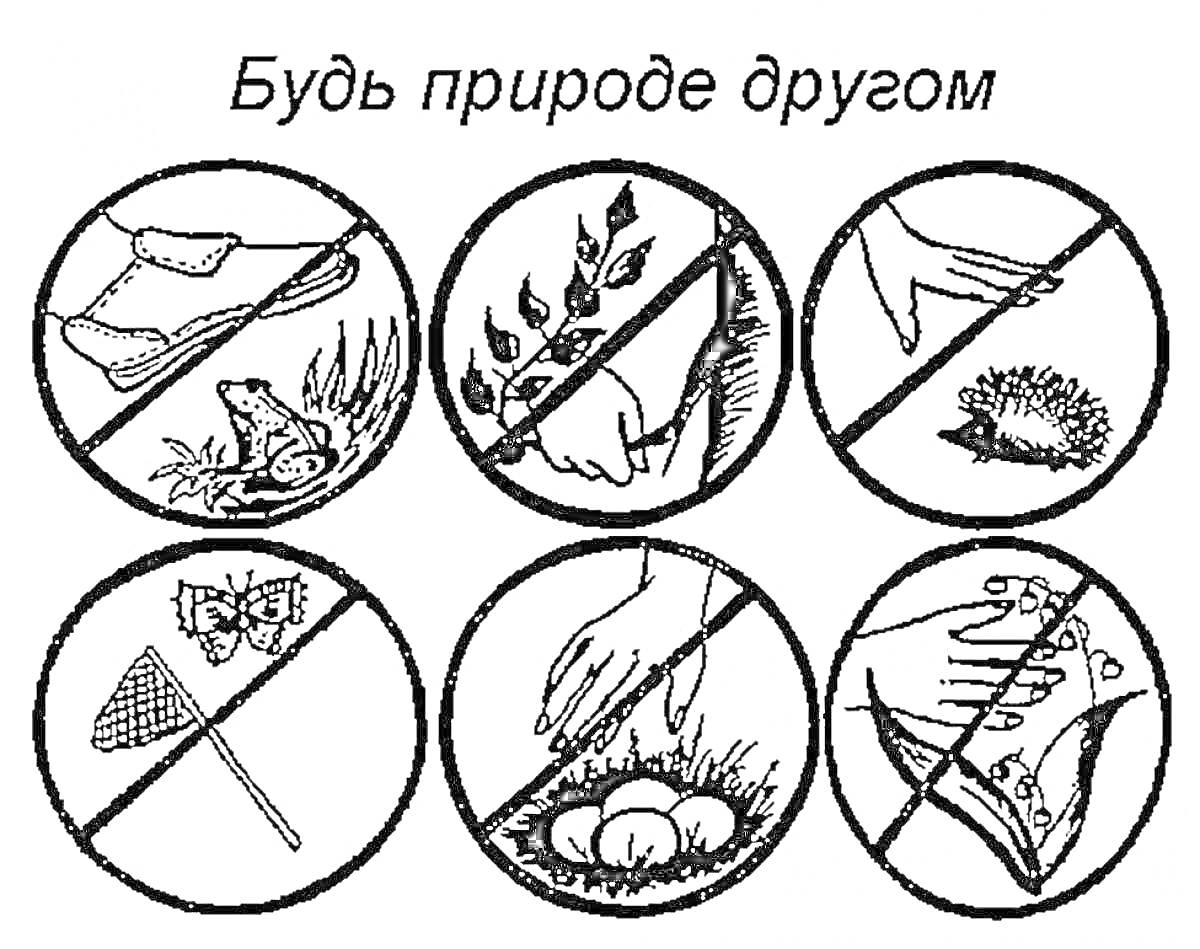 Раскраска Берегите природу: не топтать растения, не рвать листья, не трогать животных, не ловить бабочек, не трогать яйца птиц, не загрязнять лес