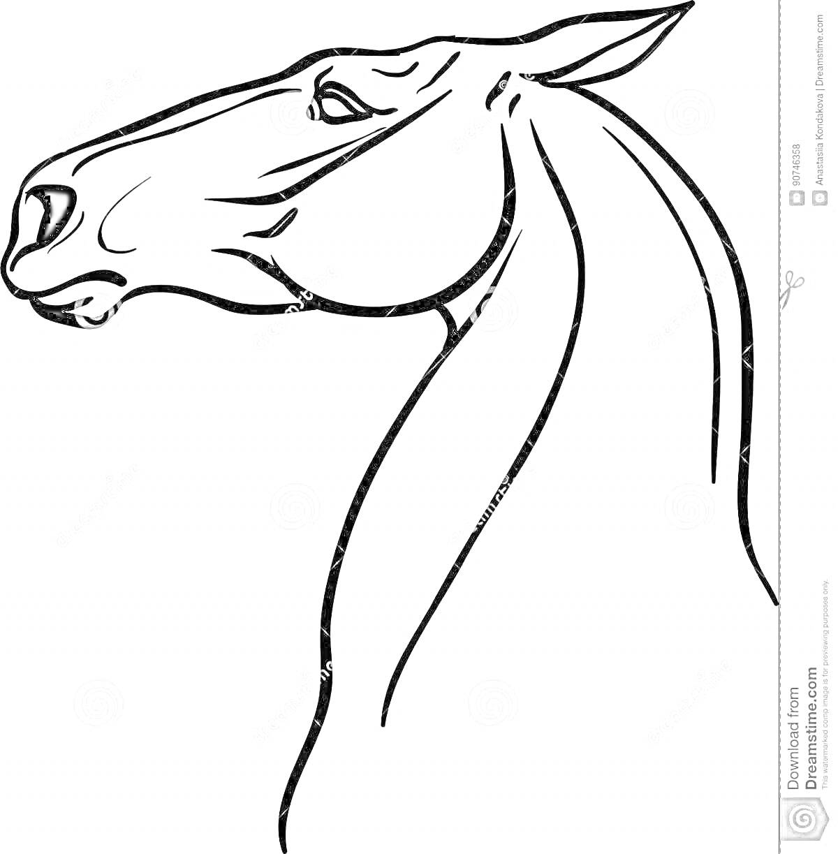 Раскраска контурная иллюстрация головы лошади с шеей
