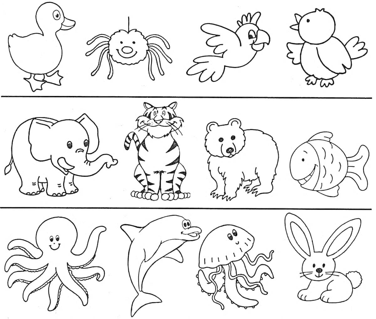 Раскраска раскраска с уткой, пауком, попугаем, птичкой, слоном, тигром, медведем, рыбкой, осьминогом, дельфином, медузой и кроликом