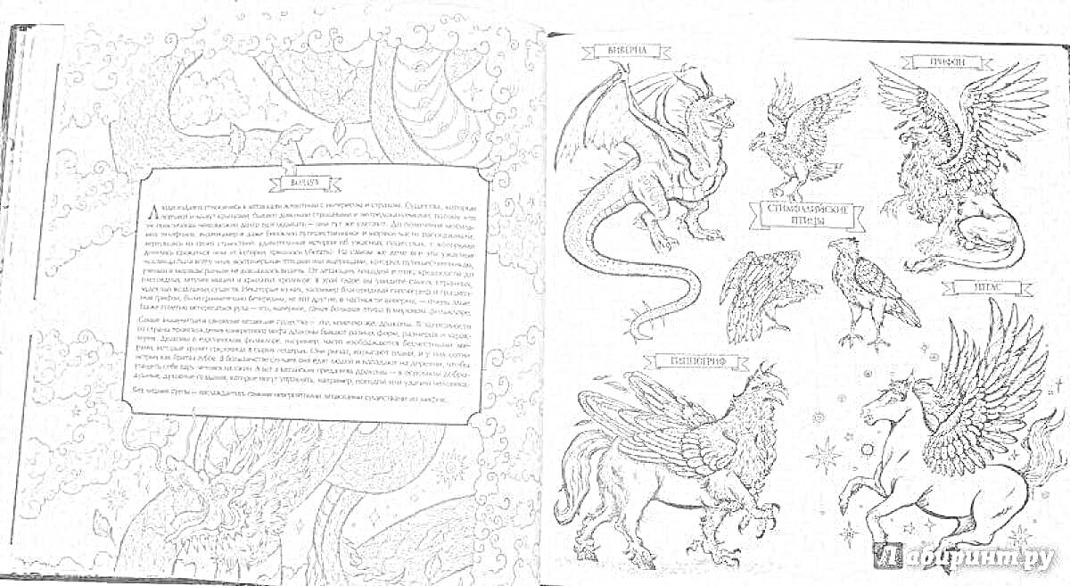 страница из раскраски с фантастическими существами - дракон, грифон, феникс, гарпия, пегас и химера