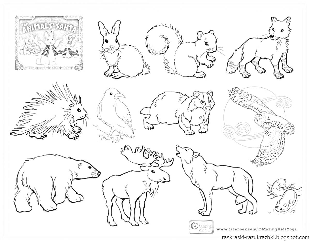 На раскраске изображено: Лесные животные, Заяц, Белка, Волк, Дикобраз, Бобр, Сова, Медведь, Лось, Ворон