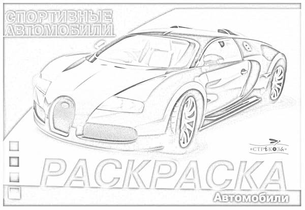 Раскраски спортивные автомобили: 29 раскрасок - скачать или распечатать ...