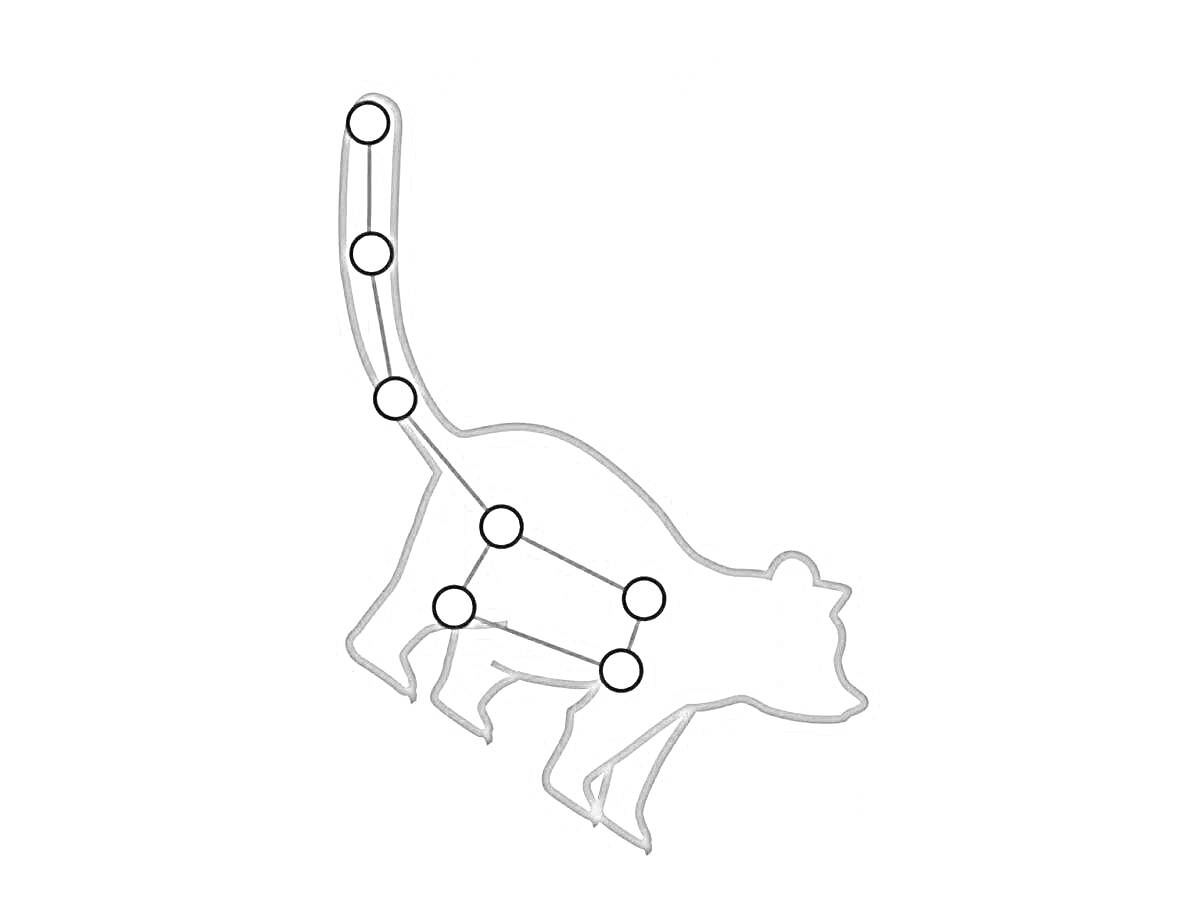 Раскраска Силуэт животного с созвездием малой медведицы в виде точек