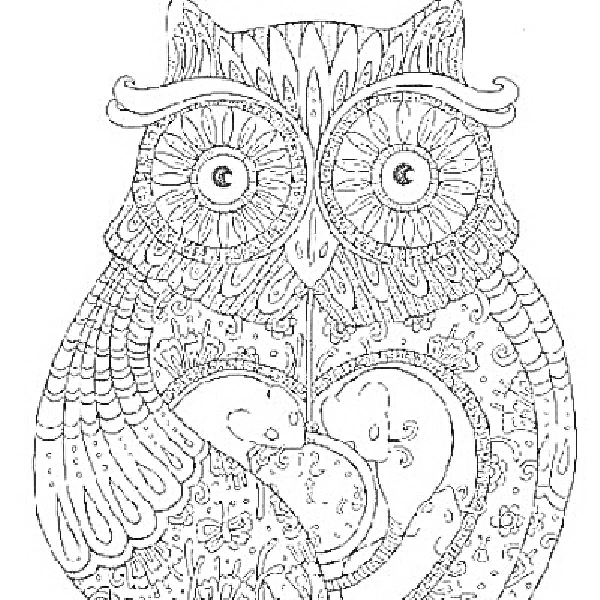 Раскраска Антистресс раскраска - сова с узорами и элементами природы