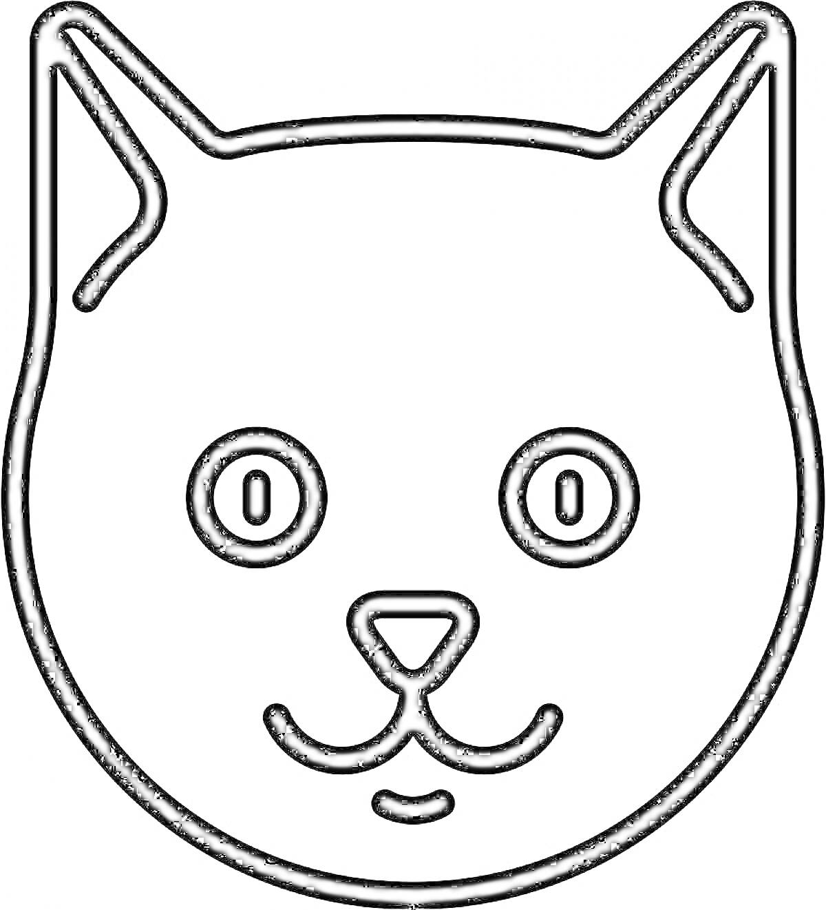 На раскраске изображено: Кот, Уши, Глаза, Нос, Усы, Животные, Морда