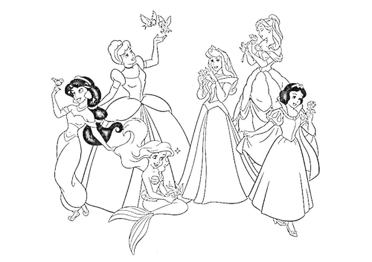 Раскраска Принцессы Диснея: шесть принцесс, Алиса, Белль, Золушка, Аврора, Ариэль и Белоснежка с птицами