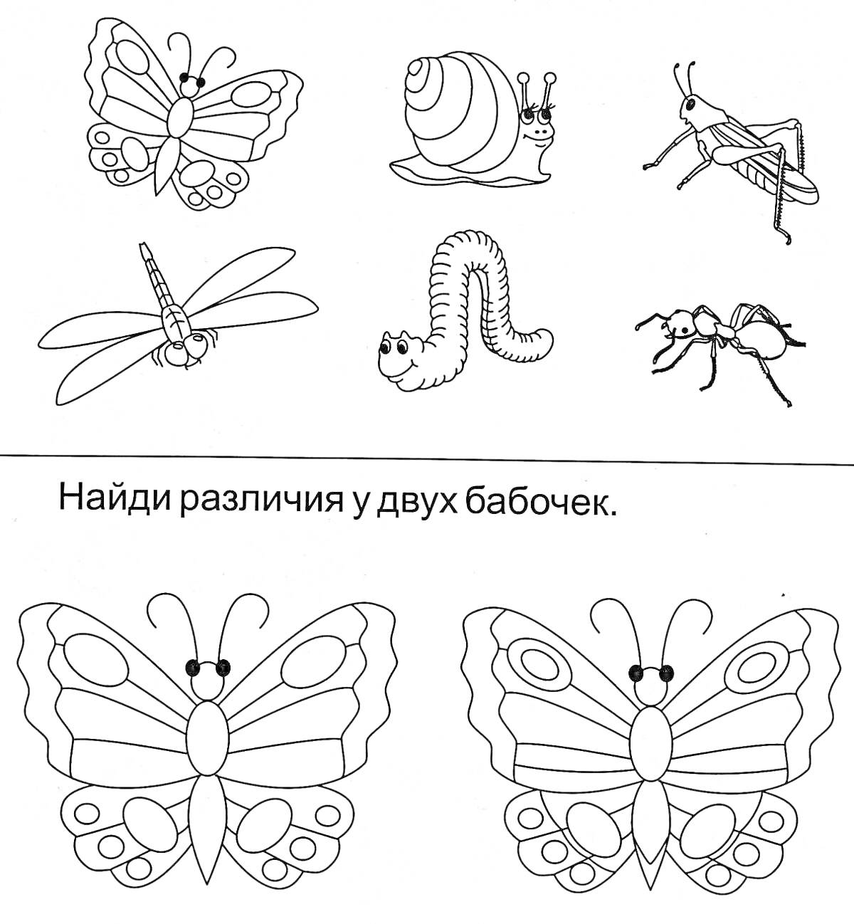 На раскраске изображено: Бабочка, Улитка, Кузнечик, Муравей, Первый класс, Окружающий мир