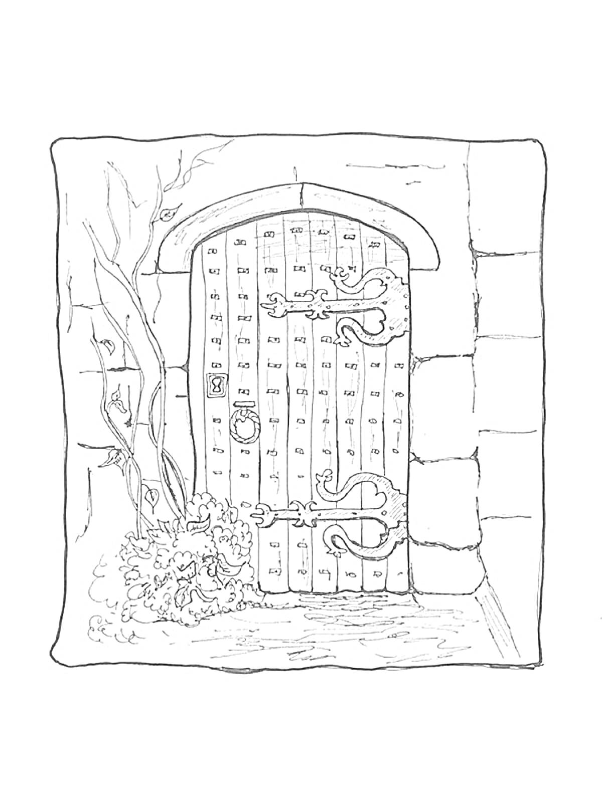 Деревянная дверь с металлическими деталями, декоративным кольцом, растущими рядом растениями и каменной стеной