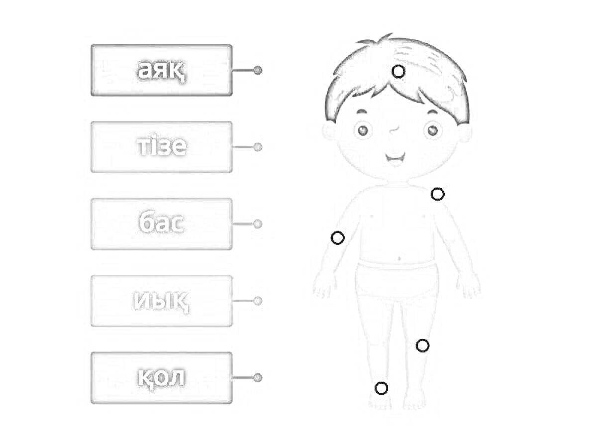 Раскраска с изображением ребёнка и обозначениями частей тела на казахском языке (аяқ, тізе, бас, иық, қол)
