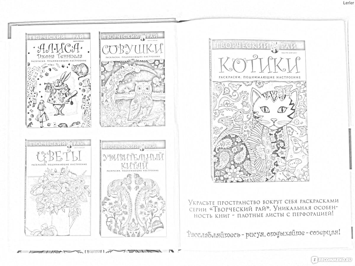 На раскраске изображено: Творческий рай, Алиса, Советы, Цветы, Творчество, Антистресс, Книга