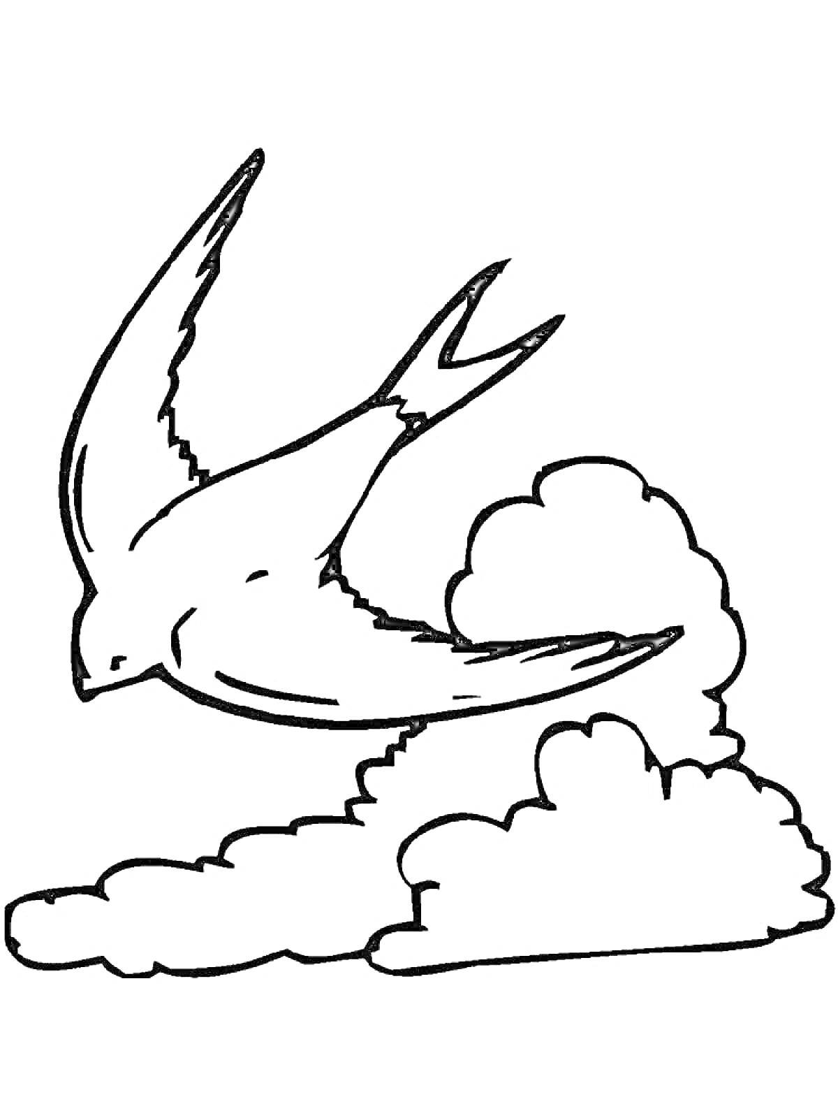 Раскраска Птица, летящая над облаками