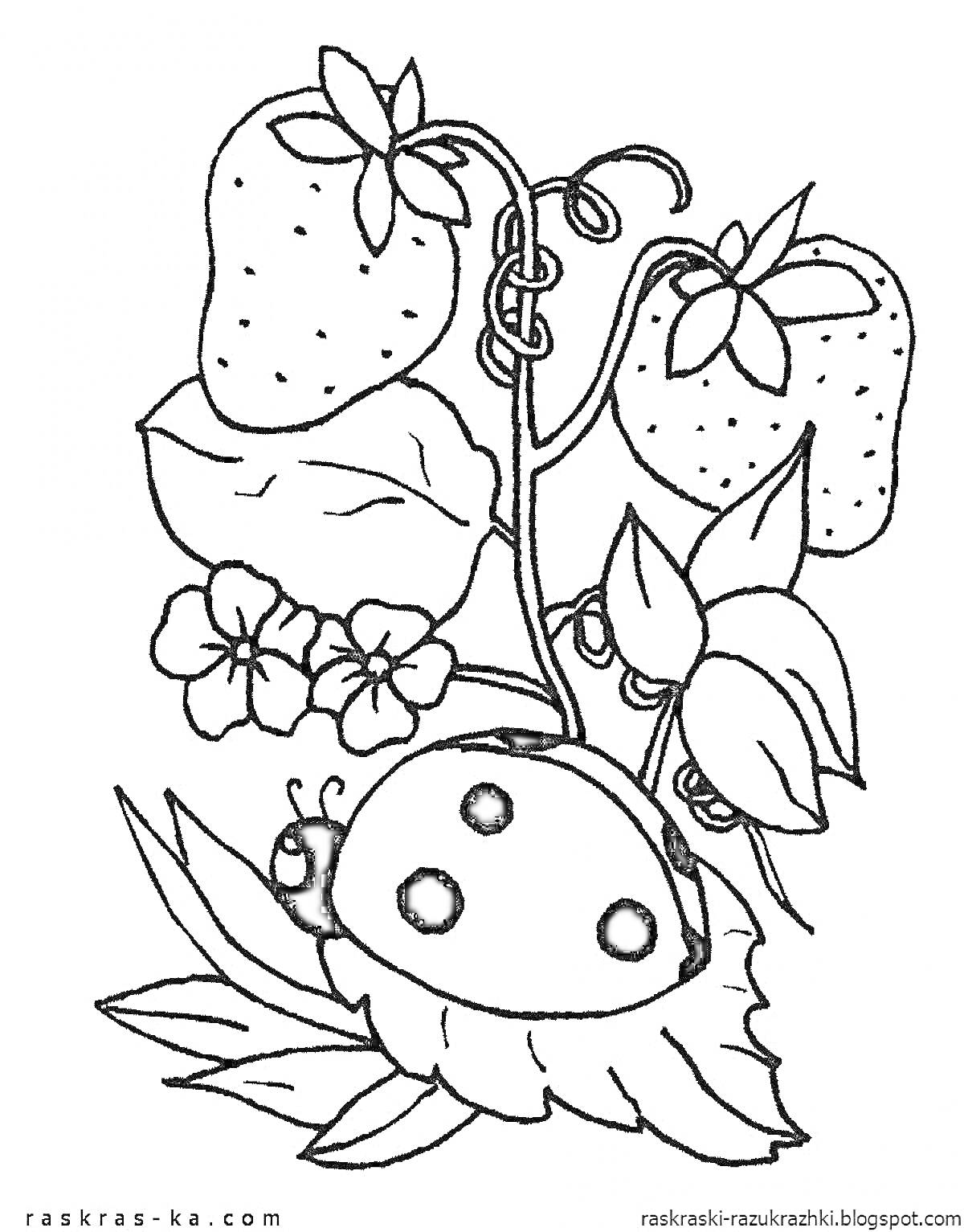 Раскраска Божья коровка на листе с клубникой и цветами