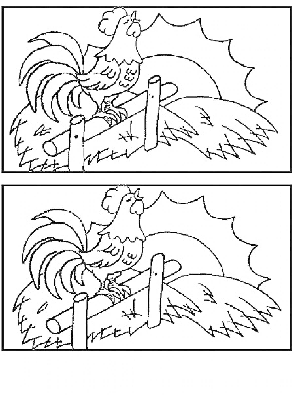 Раскраска Петух на заборе на фоне восходящего солнца - Найди отличия