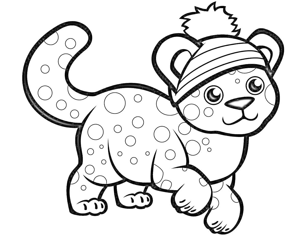 Раскраска Леопард в шапке с помпоном