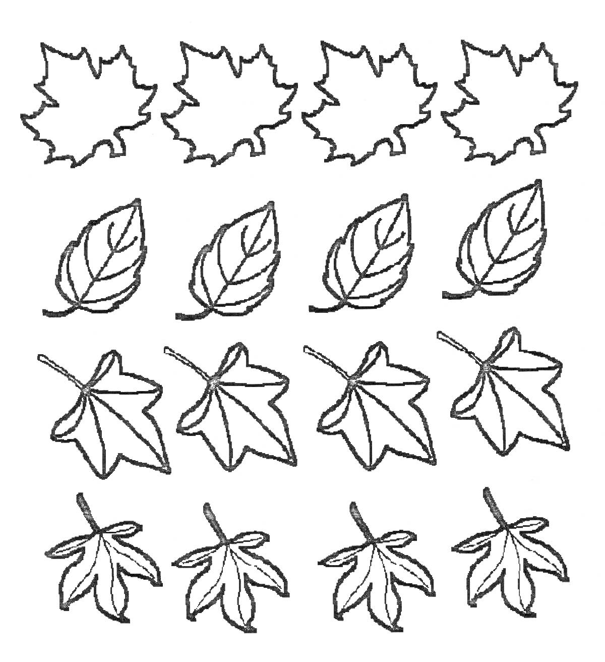 Раскраска Листья разных деревьев: шесть кленовых листьев, четыре овальных листа с прожилками, четыре пятиконечных листа, четыре зубчатых листа.
