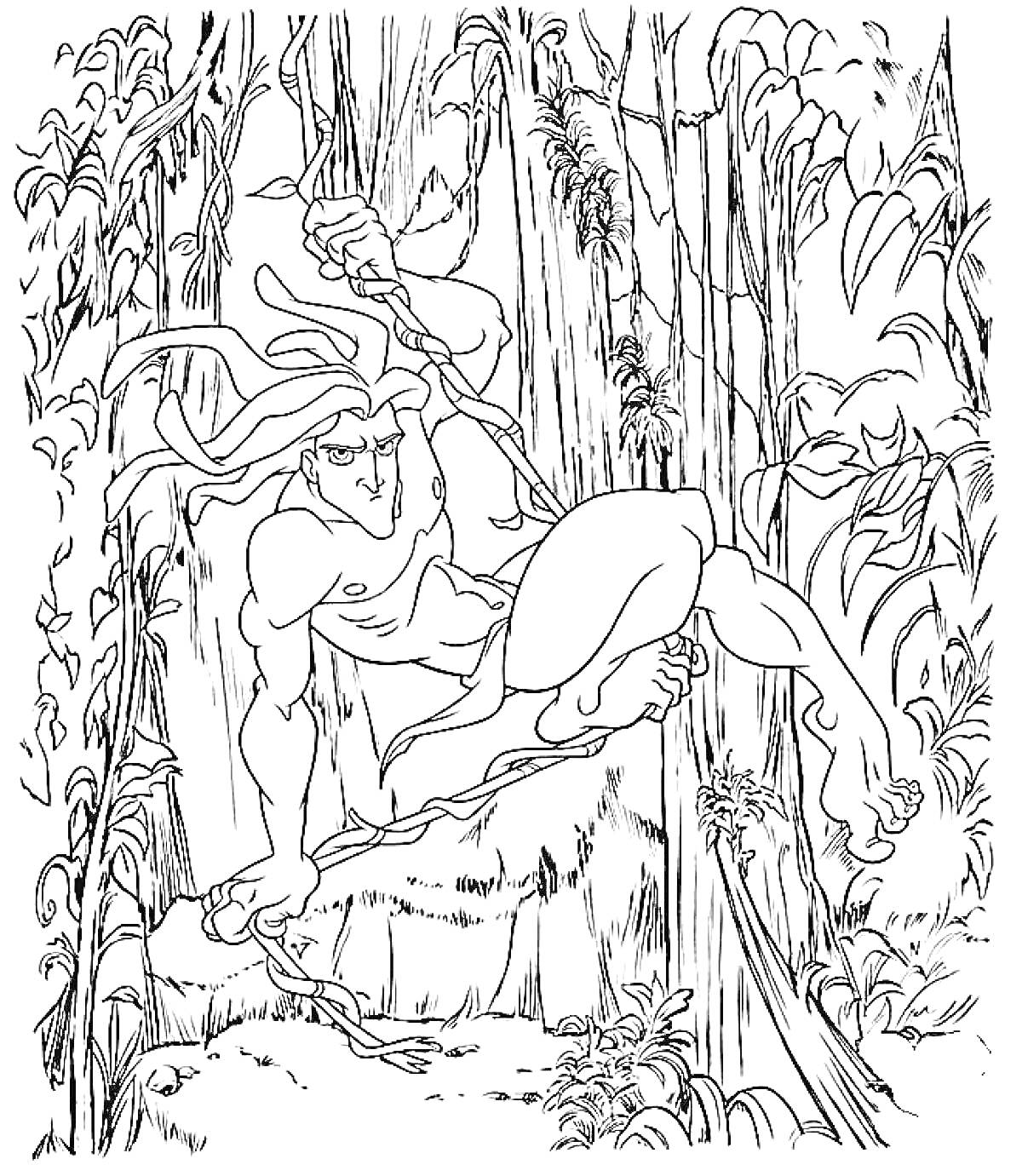 На раскраске изображено: Тарзан, Джунгли, Деревья, Растения, Действие, Персонаж, Приключения, Лианы