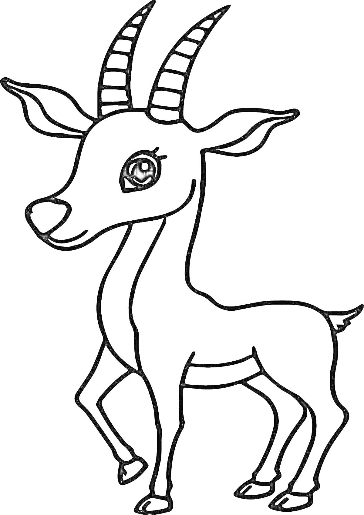 Раскраска Раскраска газель с большими глазами и рогами