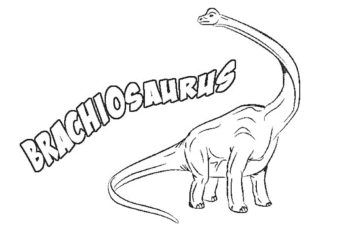 Раскраска Брахиозавр с текстом BRACHIOSAURUS