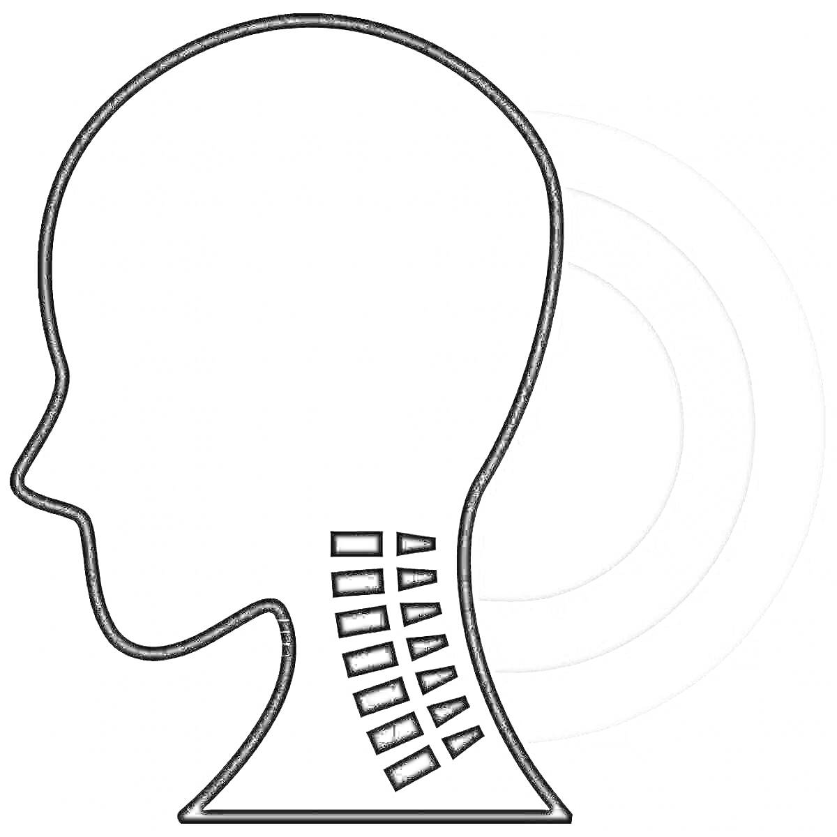 Схематическое изображение человеческой головы в профиль с видом на шею и позвонки, серые круги на заднем фоне