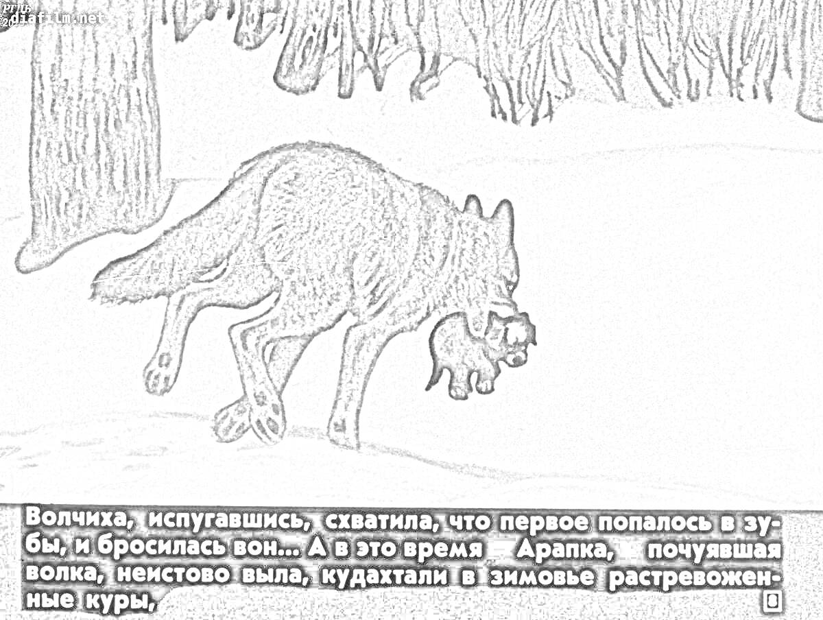 Раскраска Волчица схватила чехов в зубы у зимнего леса