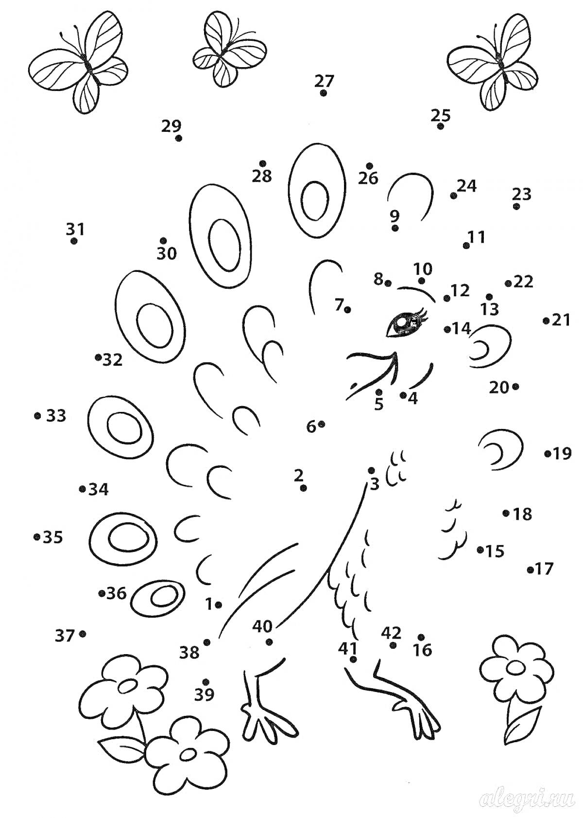 Раскраска Павлин с бабочками и цветами