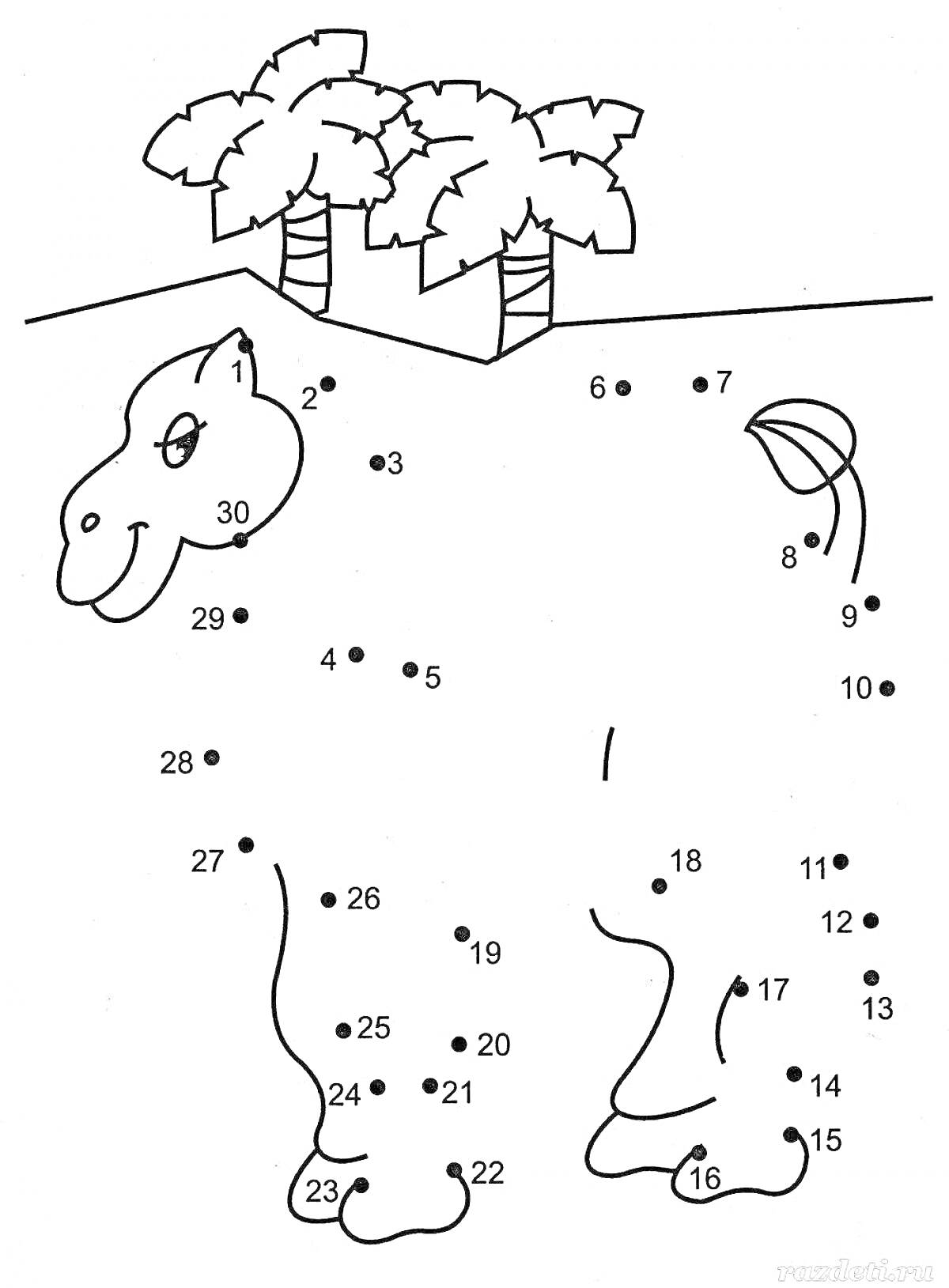 Раскраска Верблюд и пальмы, соединение точек