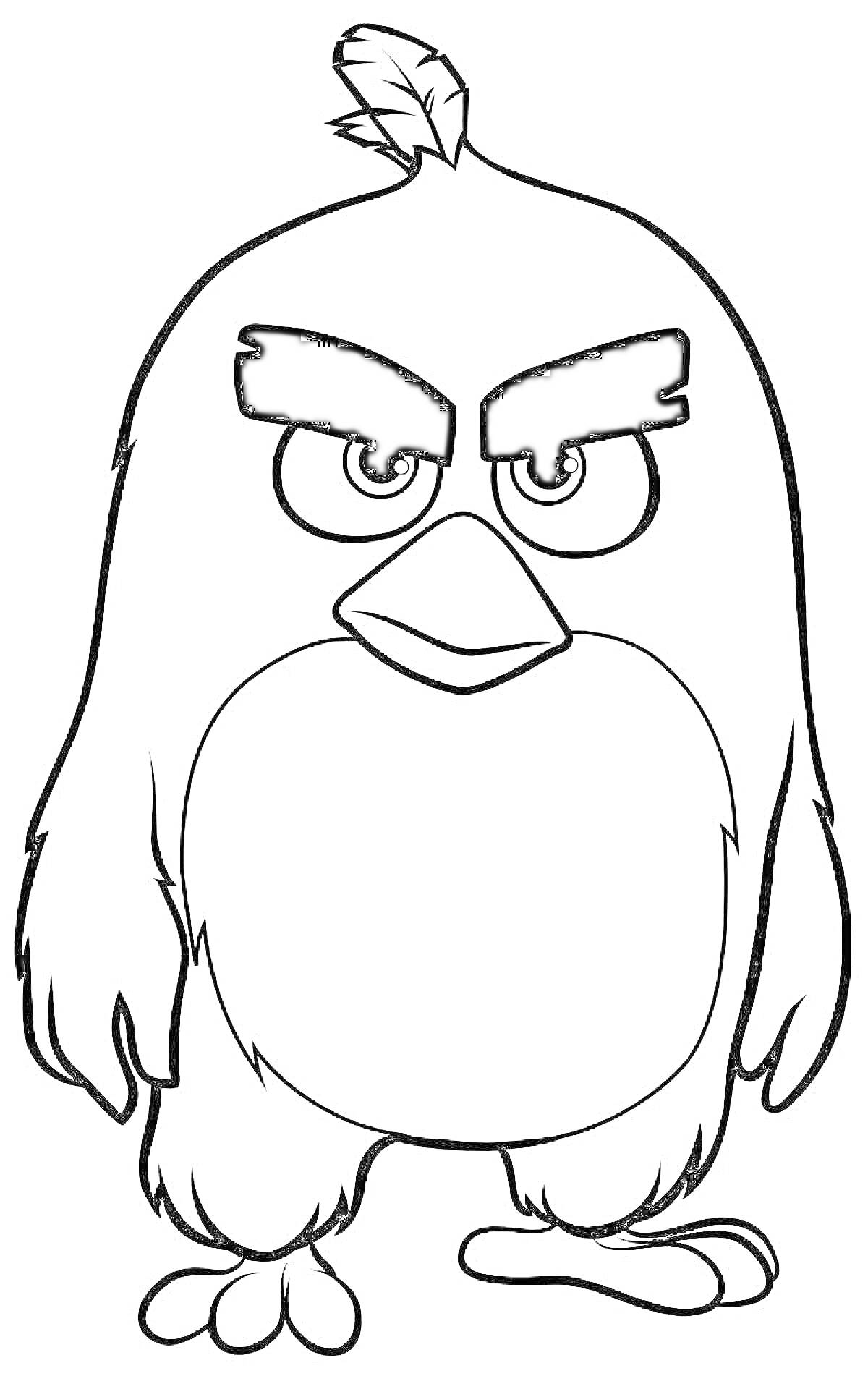 Раскраска Птица с сердитым выражением лица, мультипликационный персонаж, стоящий прямо с поднятым хохолком