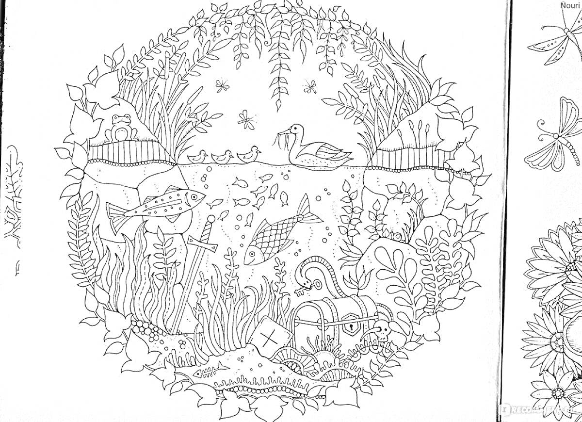 На раскраске изображено: Зачарованный лес, Подводный мир, Сундук с сокровищами, Вода, Водоросли, Подводная жизнь
