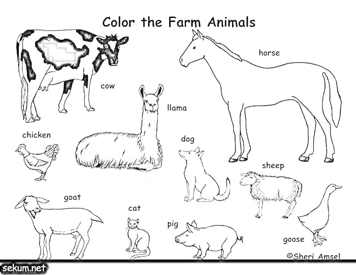 На раскраске изображено: Ферма, Корова, Курица, Лама, Лошадь, Собака, Овца, Кот, Свинья, Коза, Гусь, Для детей, Английский язык, Животное