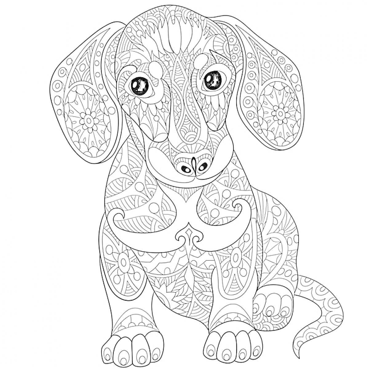 Раскраска Антистресс раскраска с узорчатой собакой