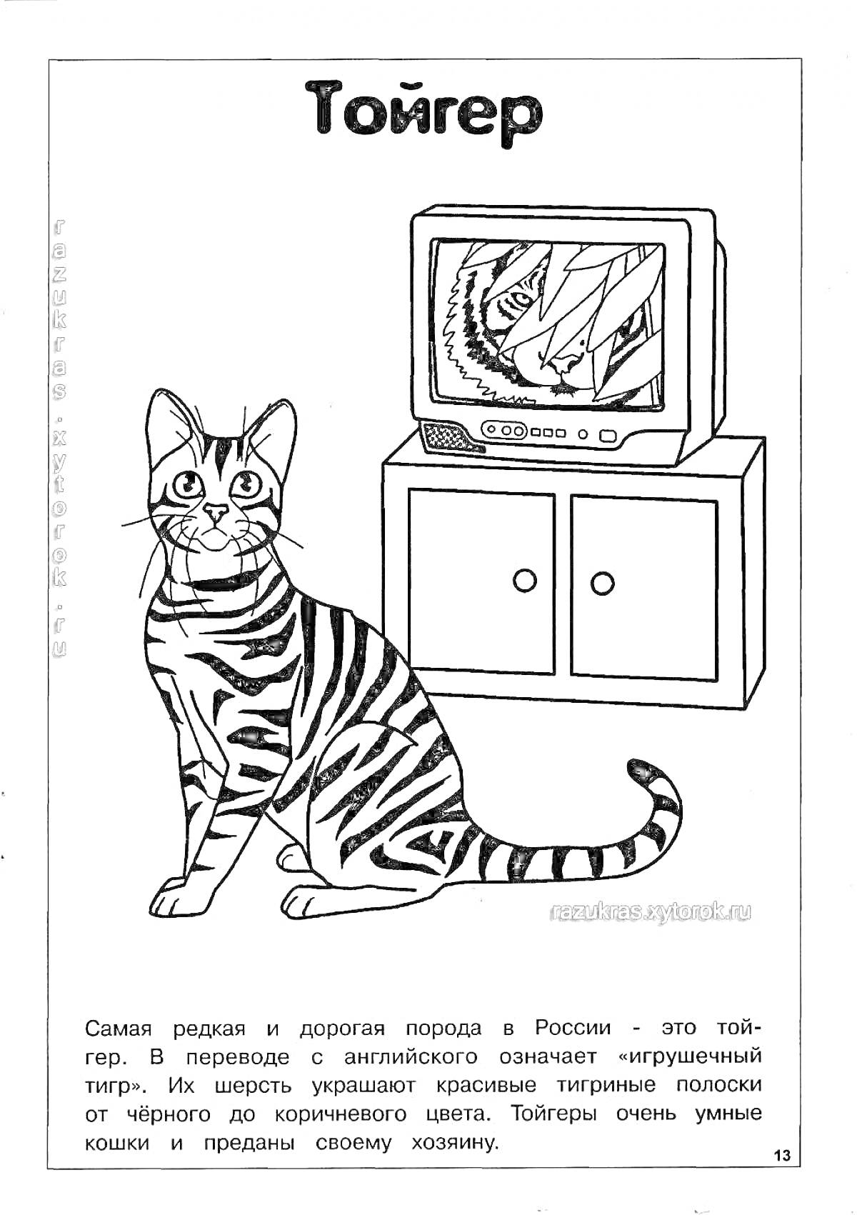 Раскраска Тойгер на фоне телевизора и тумбочки с двумя ящиками