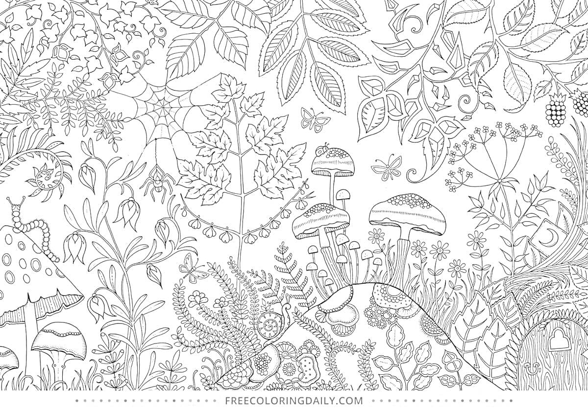 На раскраске изображено: Грибы, Растения, Цветы, Листья, Жуки, Природа, Насекомое, Бабочка