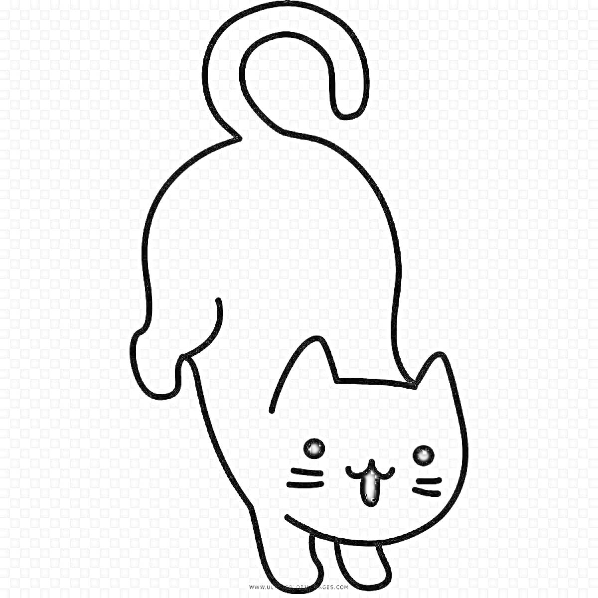 Раскраска котенок с поднятым хвостом