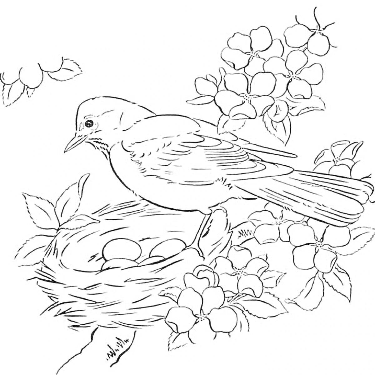 Раскраска Птица на гнезде с яйцами и ветки с цветами