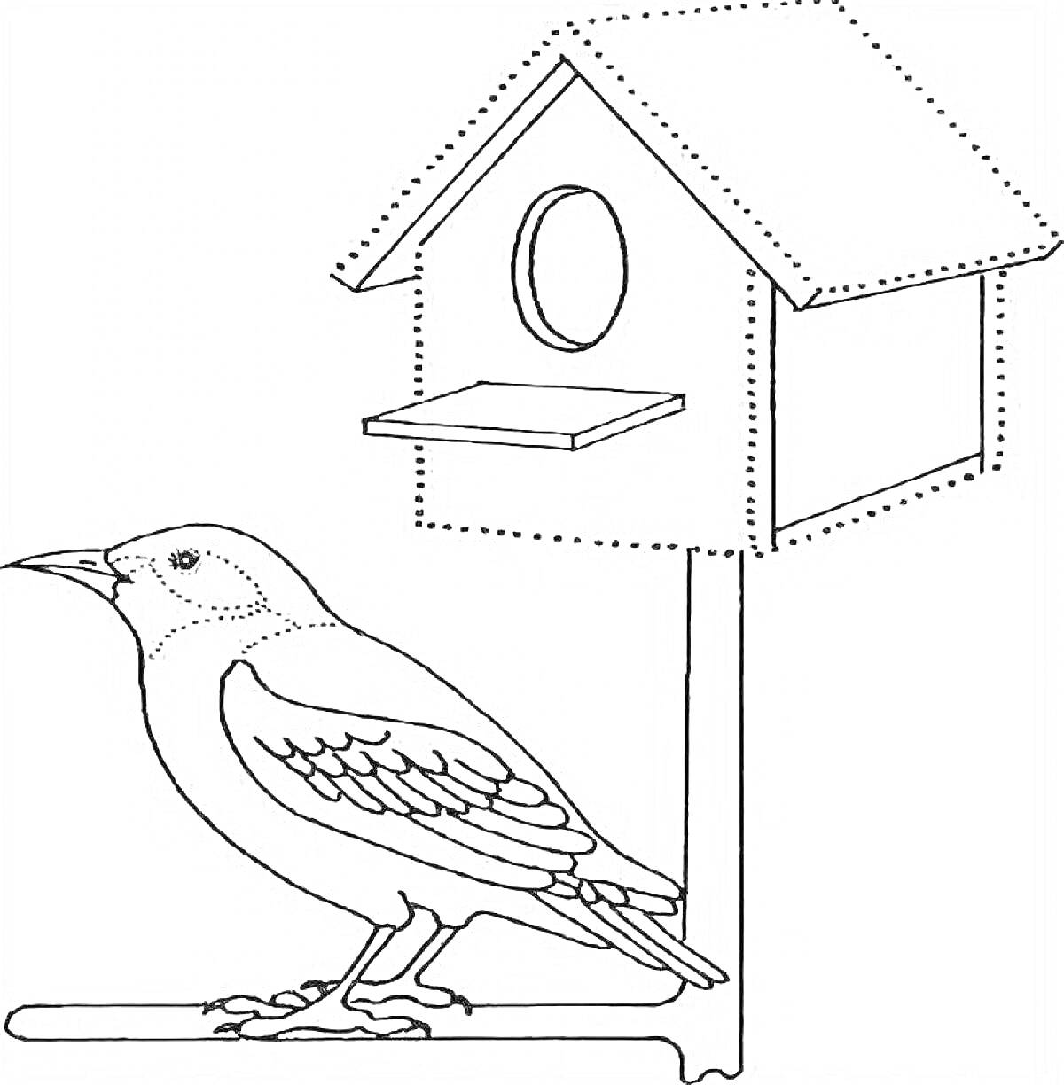 На раскраске изображено: Птица, Кормушка, Домик для птиц, Для детей, 3-4 года, Контурные рисунки