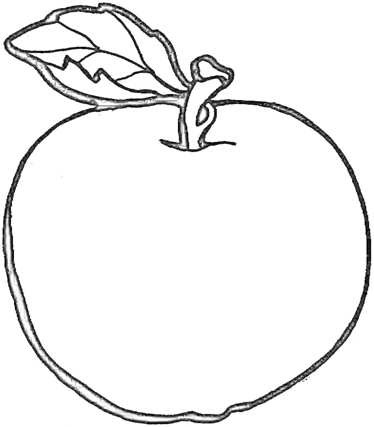 На раскраске изображено: Яблоко, Листик, Контур, Овощи и фрукты, Для детей, Фрукты