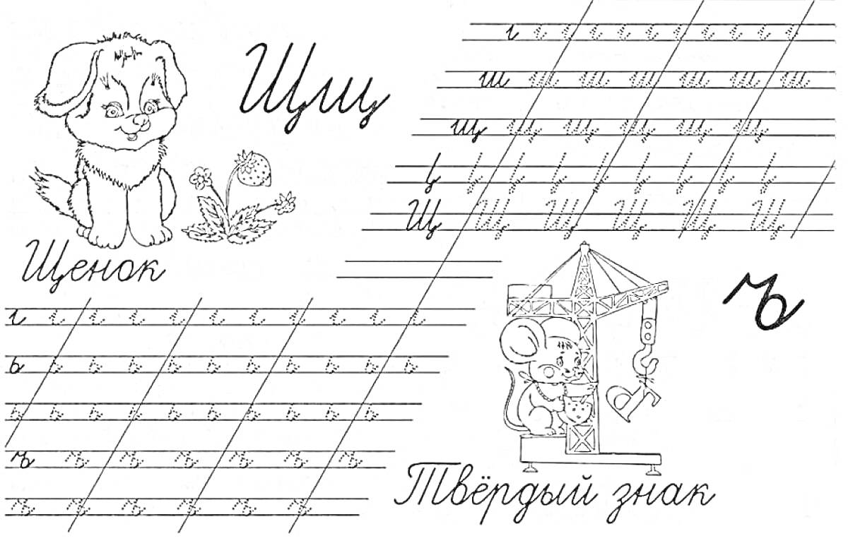 На раскраске изображено: ЩИ, Твердый знак, Прописи, Учеба, Каллиграфия, Обучение, Русский язык