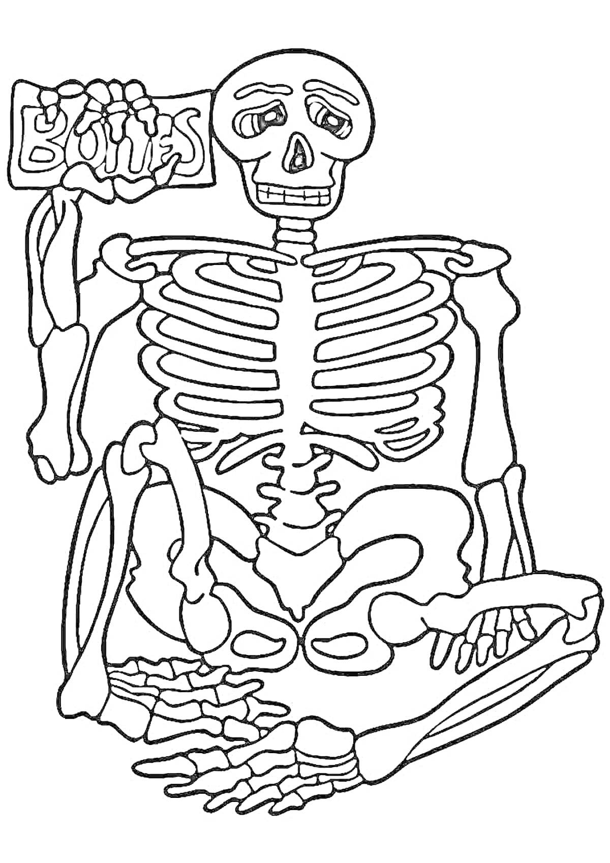 На раскраске изображено: Скелет, Табличка, Надпись, Кости, Анатомия, Учебные материалы, Хэллоуин, Для детей