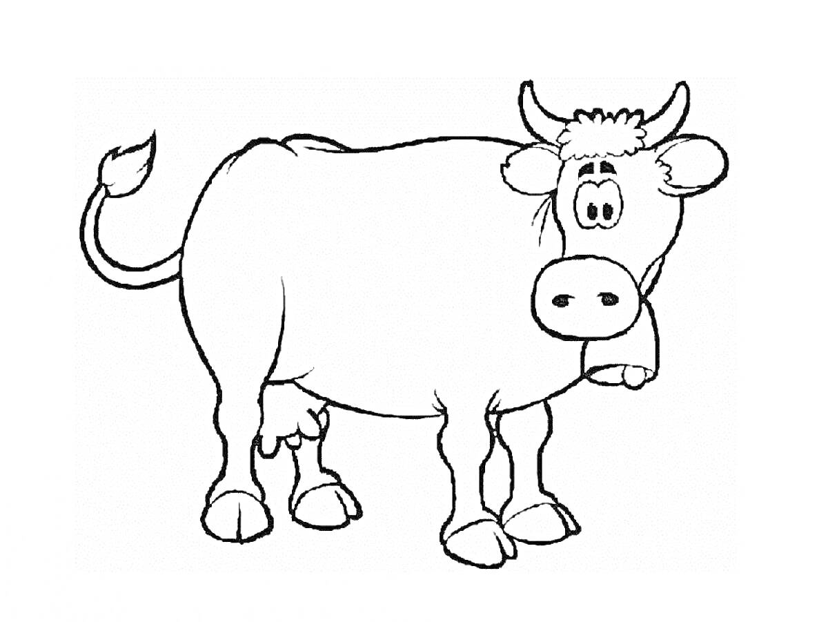 Раскраска Корова с ушами, рогами, хвостом, мордой, выменем и четырьмя ногами