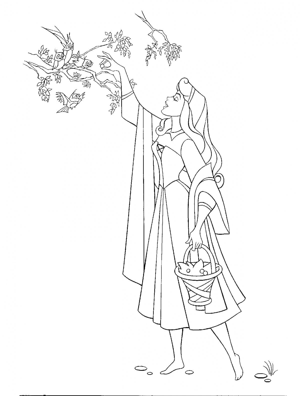 Раскраска Принцесса спящая, собирающая цветы с дерева