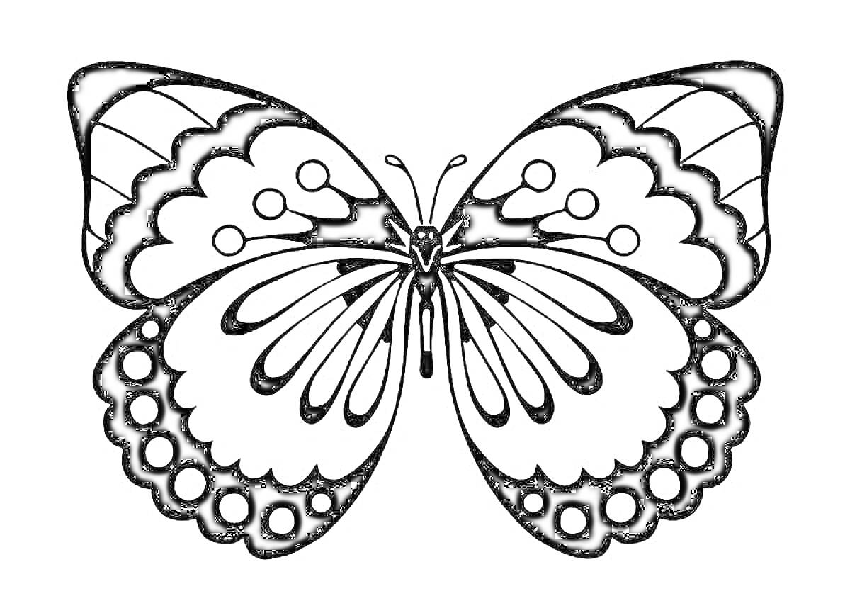 Раскраска Шаблон бабочка с декоративными узорами на крыльях