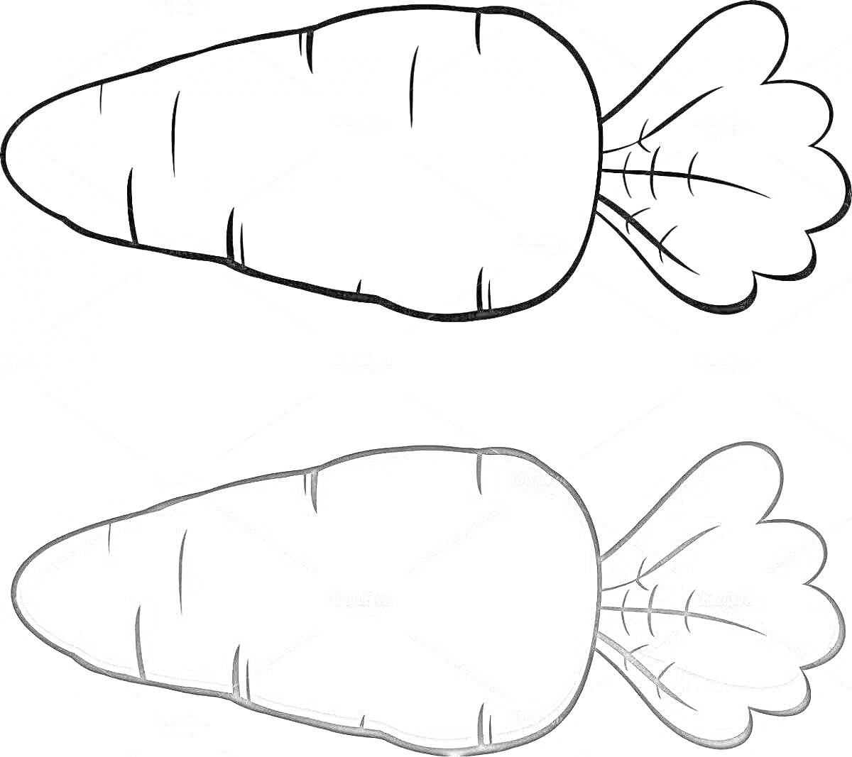Раскраска Две морковки (одна для раскрашивания, другая уже раскрашенная)