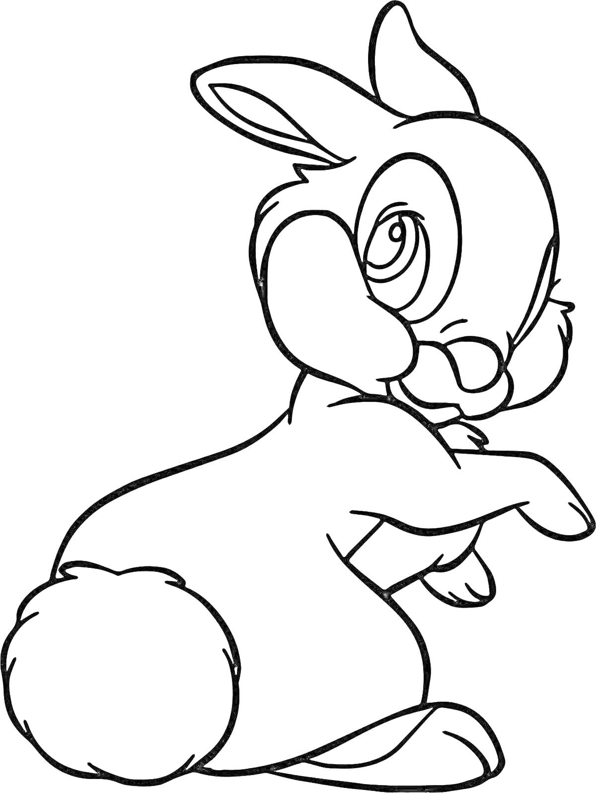 На раскраске изображено: Заяц, Бэмби, Пушистый хвост