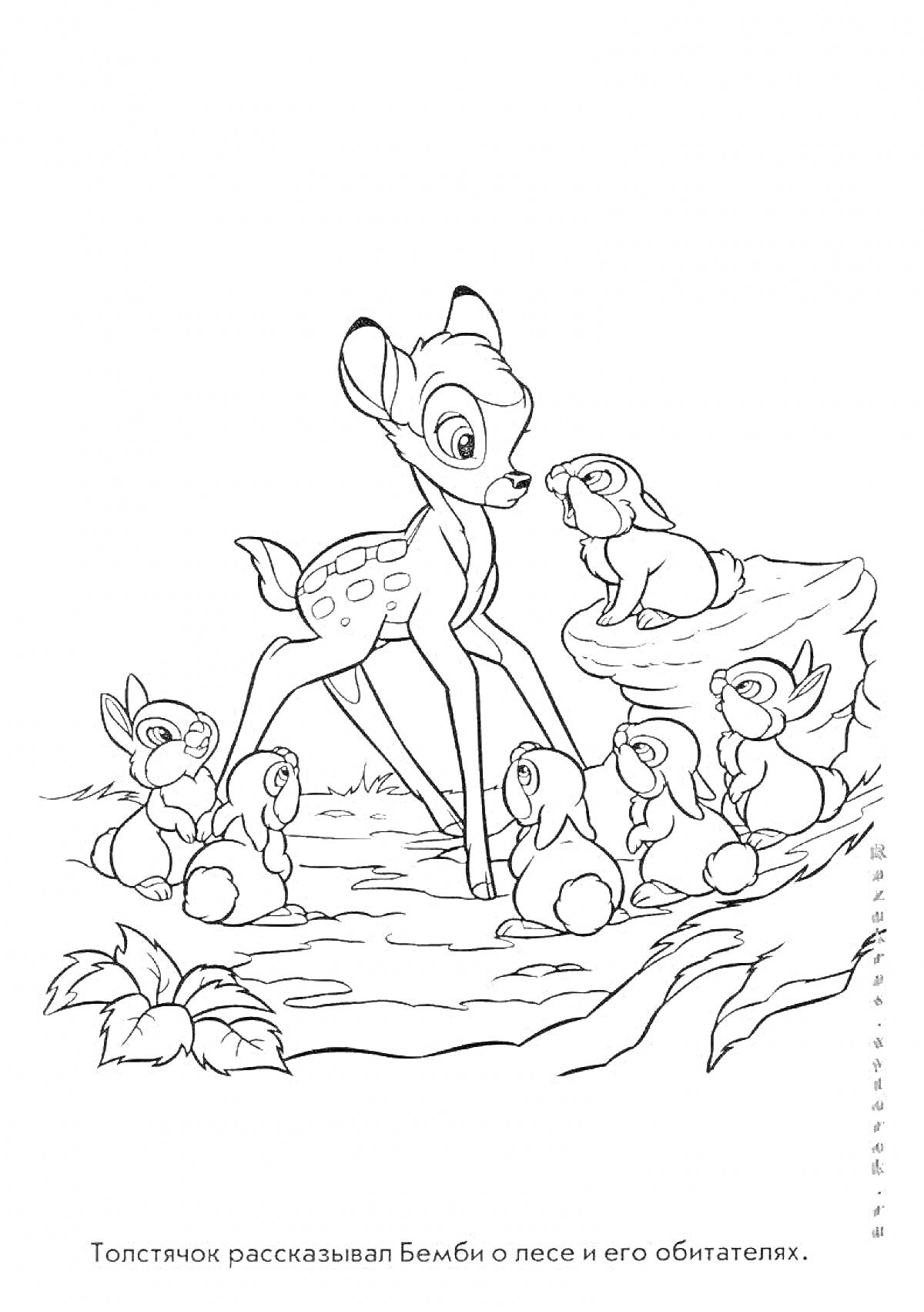 На раскраске изображено: Заяц, Бэмби, Олень, Лес, Звери, Природа, Лесные животные