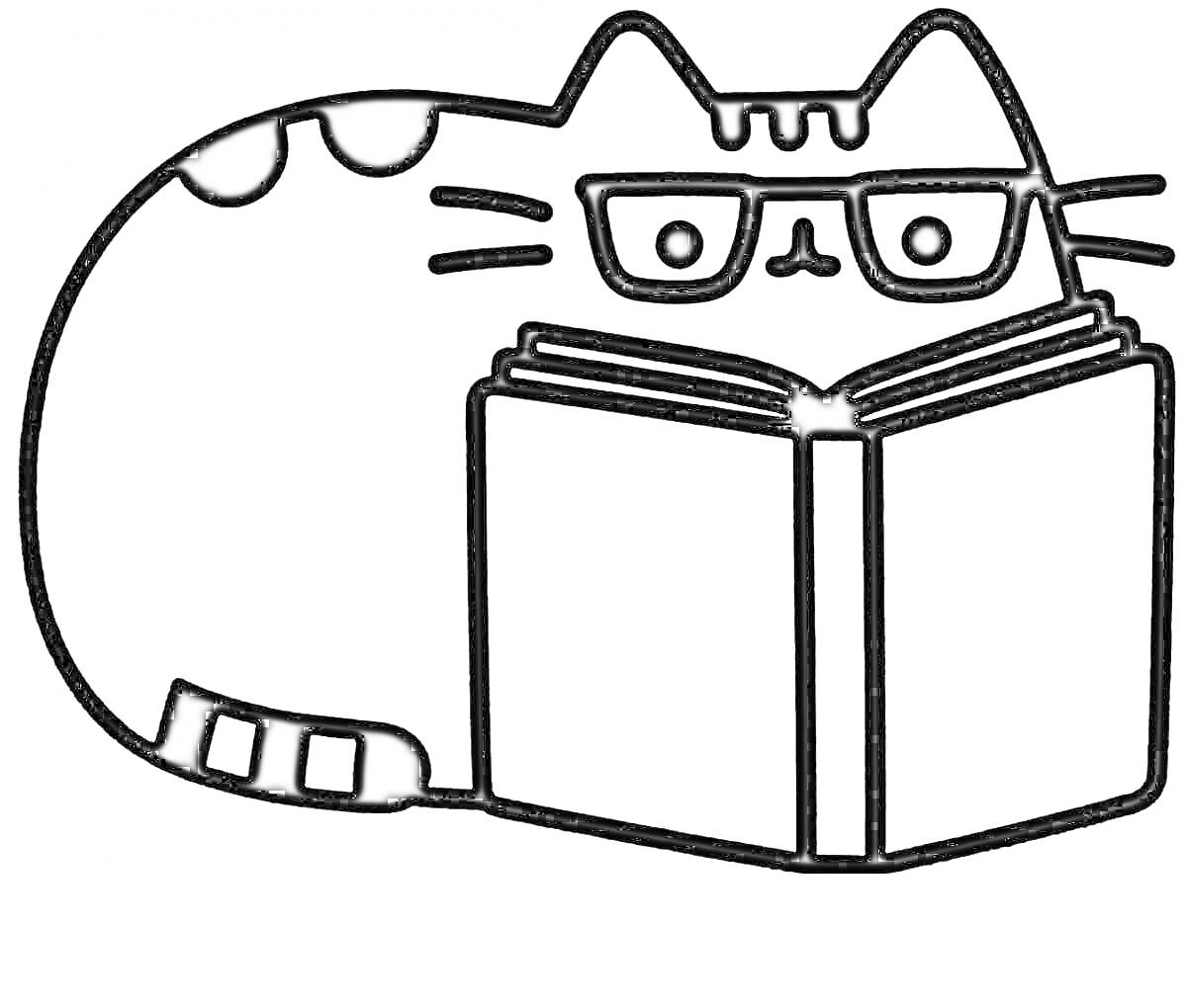 Раскраска Пушин в очках читает книгу