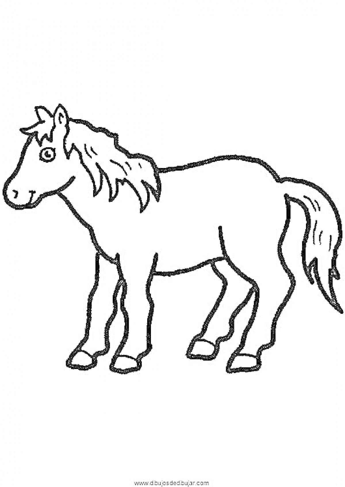 Раскраска Лошадка с гривой и хвостом, стоящая на четырех ногах