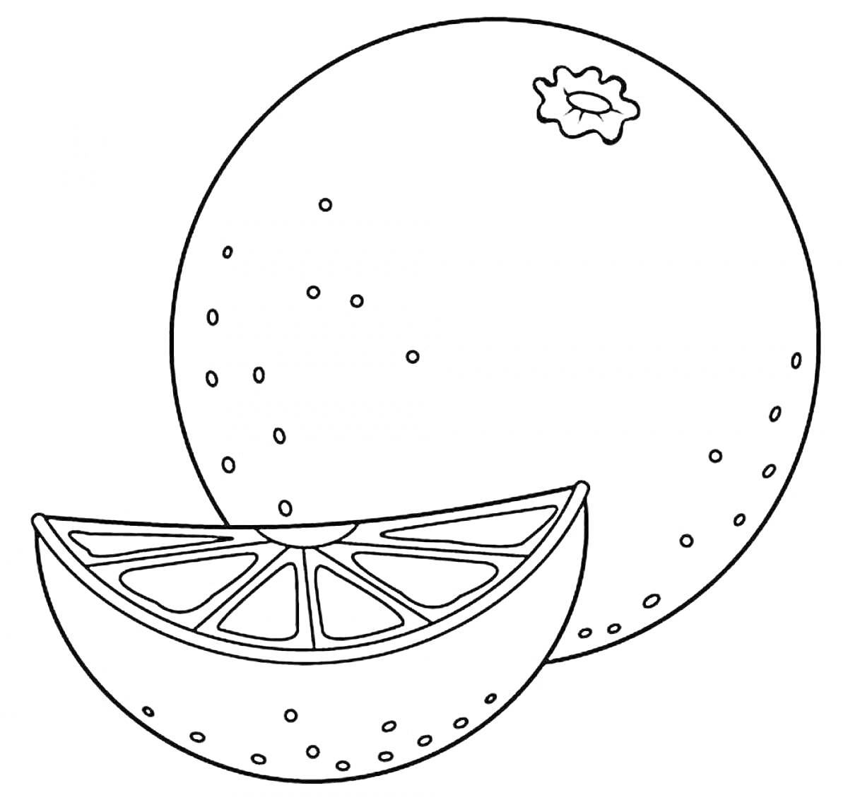 На раскраске изображено: Апельсин, Долька апельсина, Для детей, Еда, Цитрус, Арт-терапия