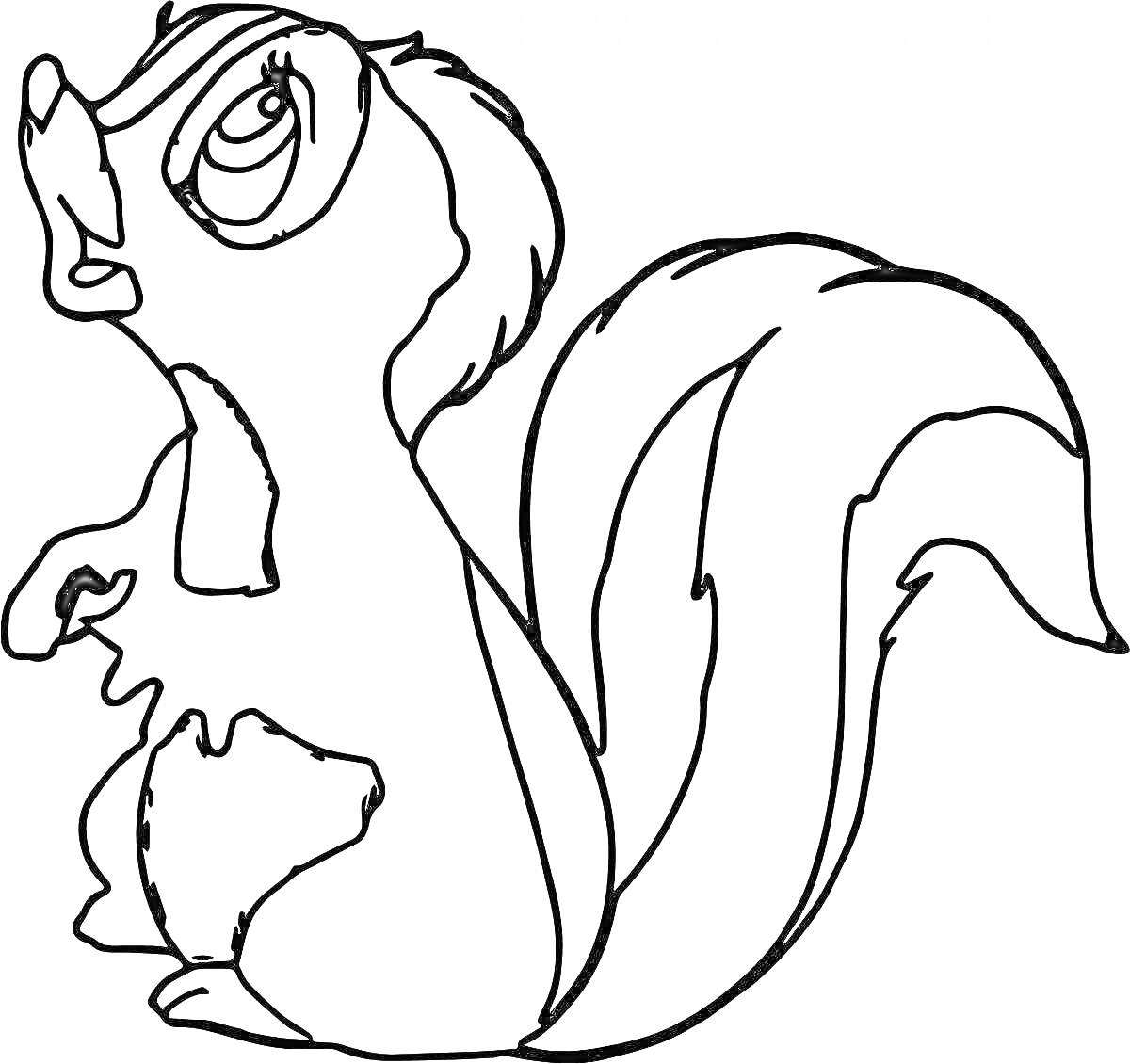 Раскраска Скунс с поднятым хвостом и выразительными глазами