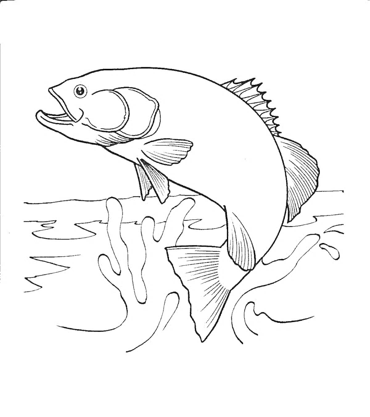 На раскраске изображено: Рыба, Вода, Водные растения, Волны, Евсейка, 3 класс