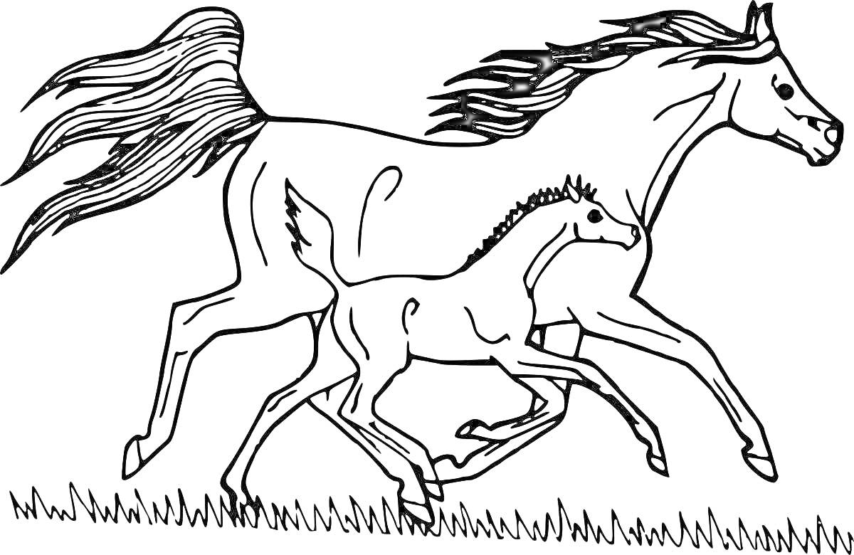 На раскраске изображено: Лошадь, Жеребёнок, Трава, Природа, Бег, Животные